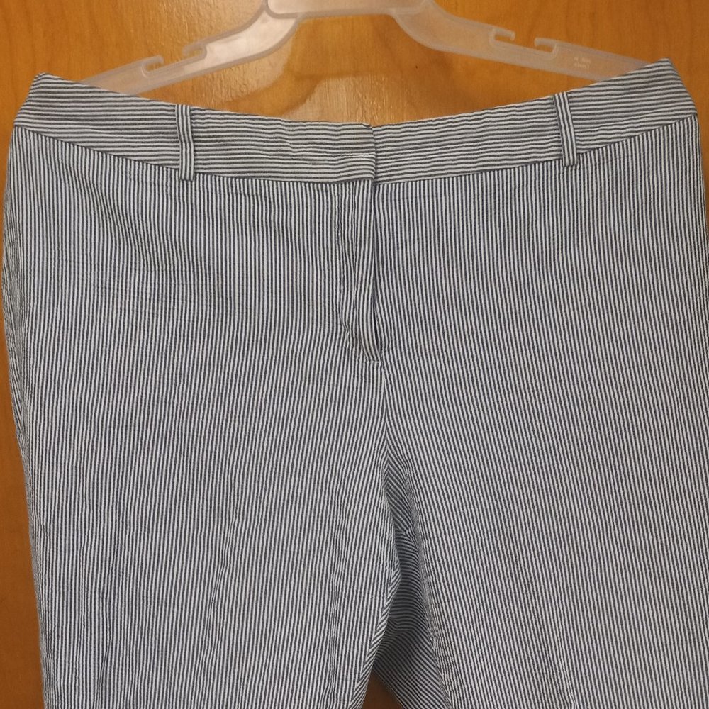 Talbots, 18W, Blue and White